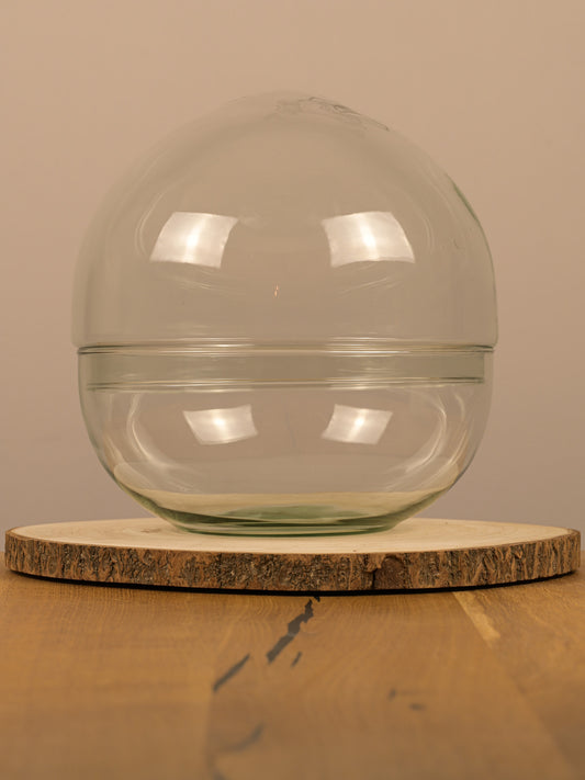 Biodome Flaschengarten Glas ohne Pflanzen - Outdoorbird