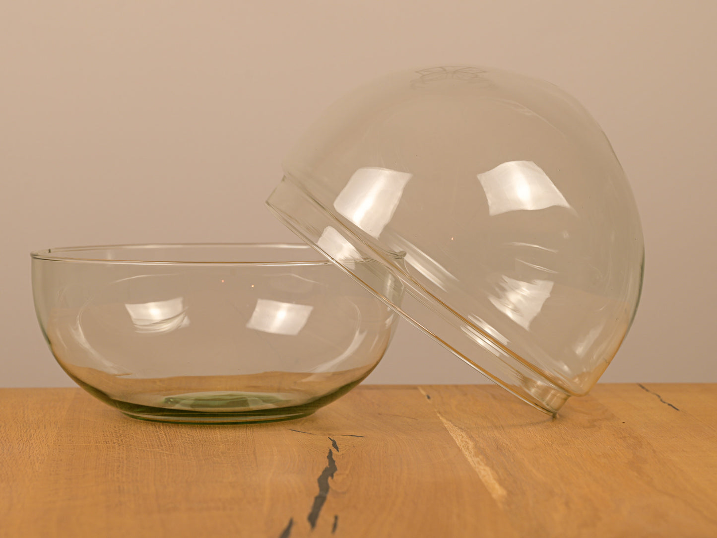 Biodome Flaschengarten Glas ohne Pflanzen - Outdoorbird