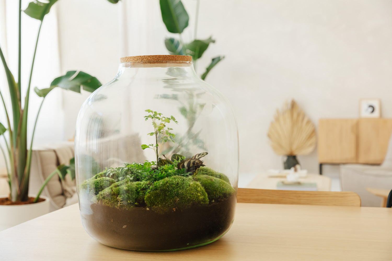Flaschengarten von Growing-Concepts. Ökosystem: selber anlegen oder Set fertig kaufen