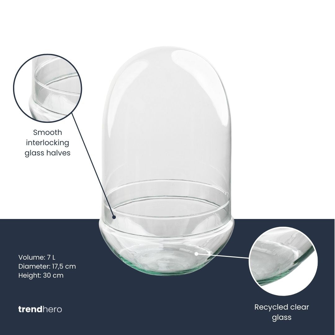 Leeres Flaschengarten-Glas „Egg XL“ mit Glaskuppel, 30 × 17,5 cm – Produktansicht