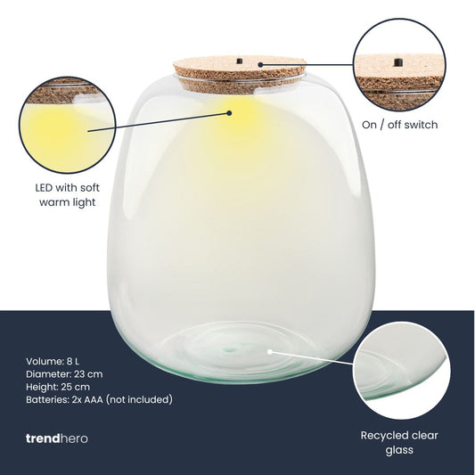 Leeres Flaschengarten-Glas „Emma“ mit LED-Korken, 25 × 23 cm – Produktansicht