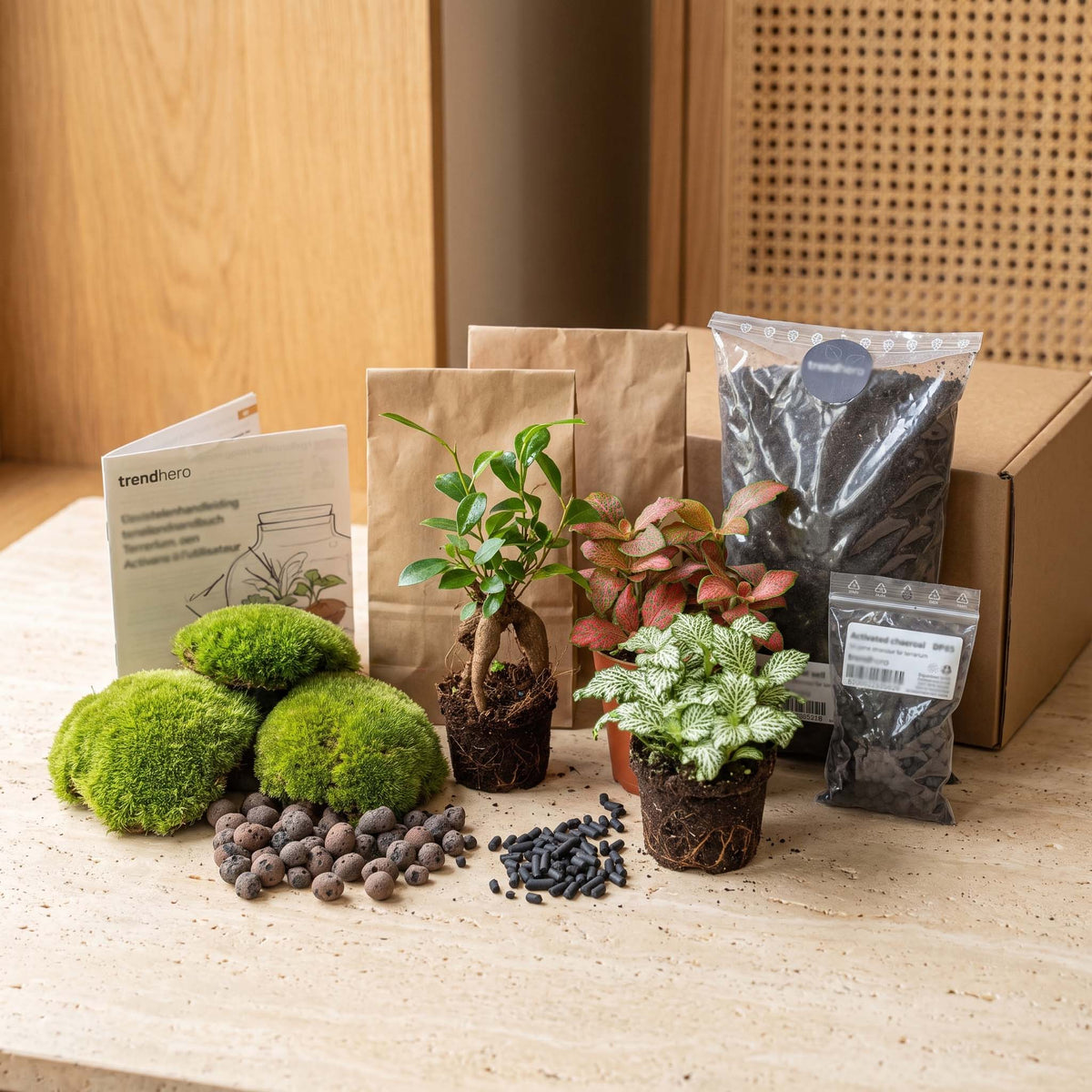 Flaschengarten-Pflanzenset „Bonsai“ – Ficus Ginseng + 2 Pflanzen, Moos & Erde (Ø 20–30 cm) - Urban Jungle