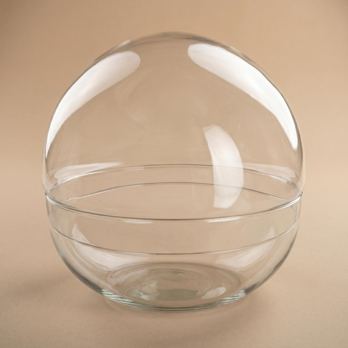 Leeres Flaschengarten-Glas „Dome XL“ als Kugel mit Glaskuppel, 28 × 28 cm – bepflanztes Beispiel, Ansicht 3