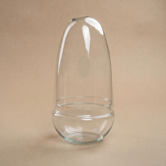 Leeres Flaschengarten-Glas „Egg“ mit Glaskuppel, 25 × 12 cm – bepflanztes Beispiel