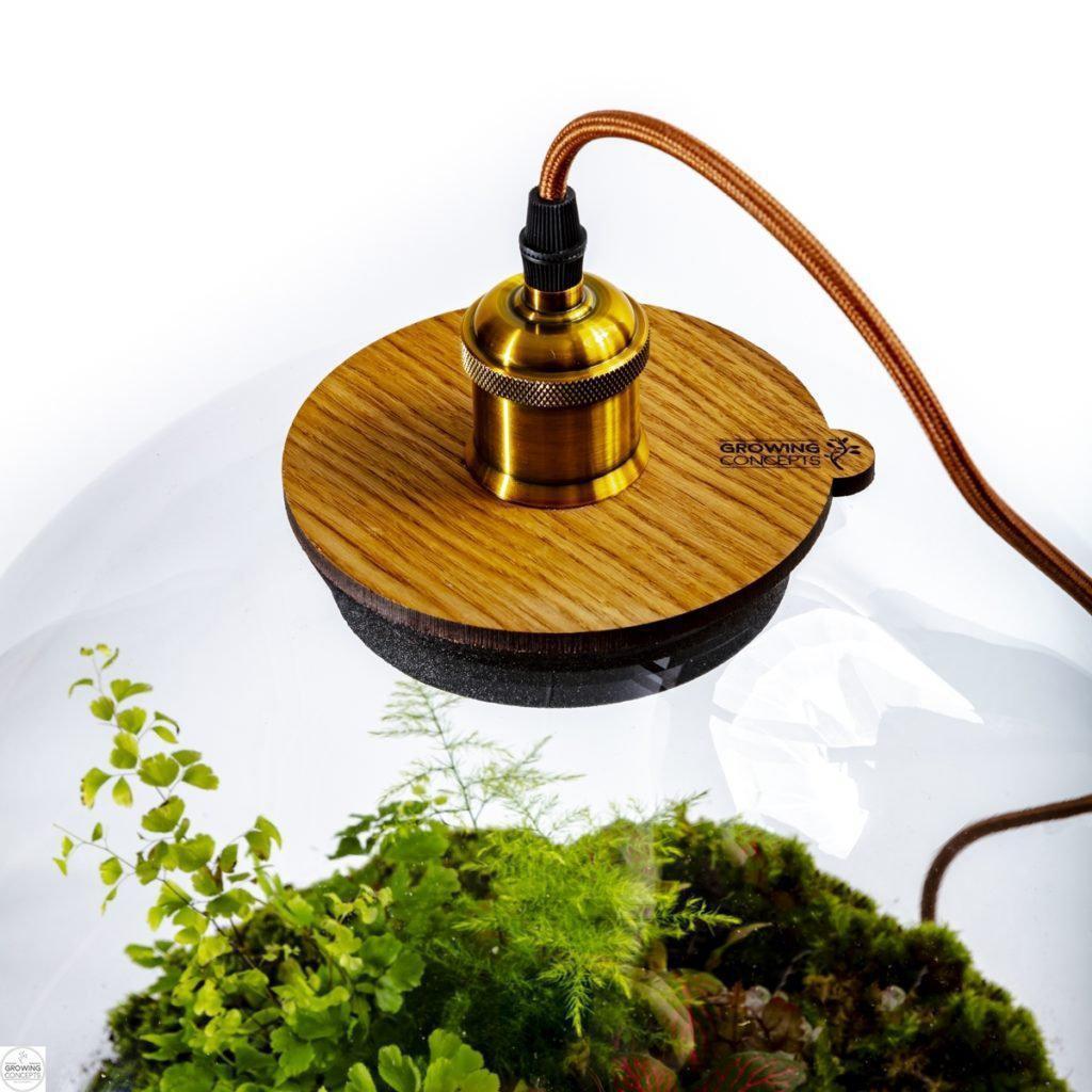 Flaschengarten mit Lampe "Demeter" - ↑ 37cm