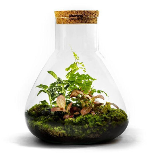 Navul Pakket Erlenmeyer Large/Bolder/Biodome - Growing Concepts
