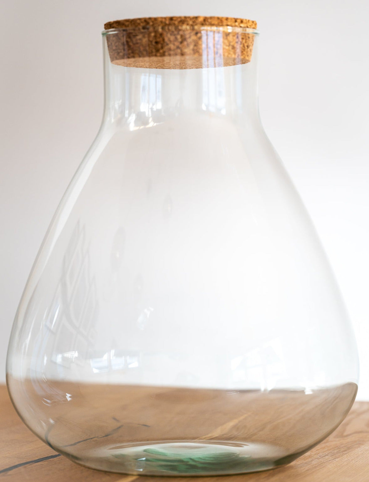 Flaschengarten Ökosystem: Pflanzen im Glas "Erlenmeyer" ↑35cm / ⌀30cm - Growing Concepts