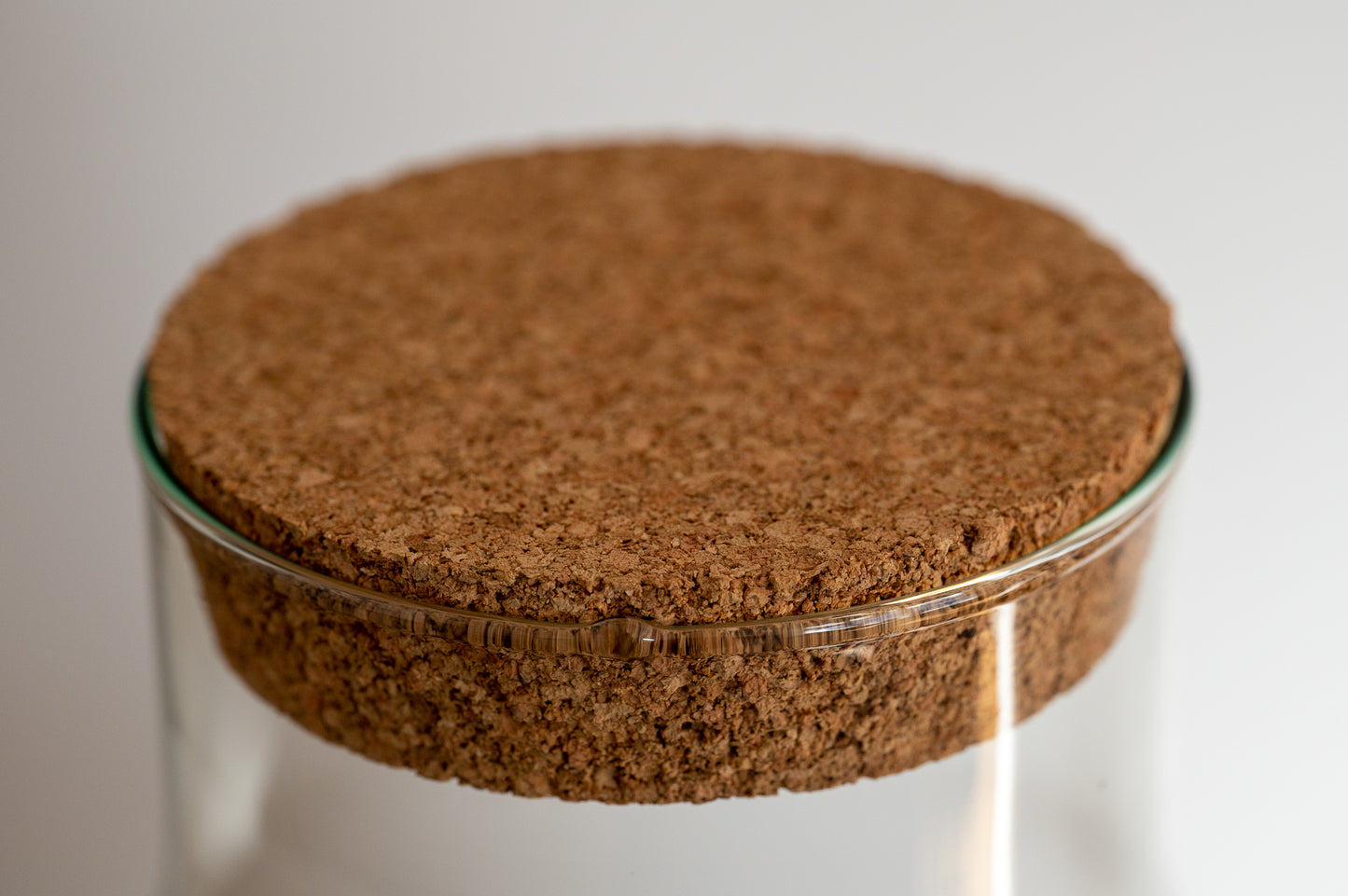 Flaschengarten Ökosystem: Pflanzen im Glas "Erlenmeyer" ↑35cm / ⌀30cm - Growing Concepts