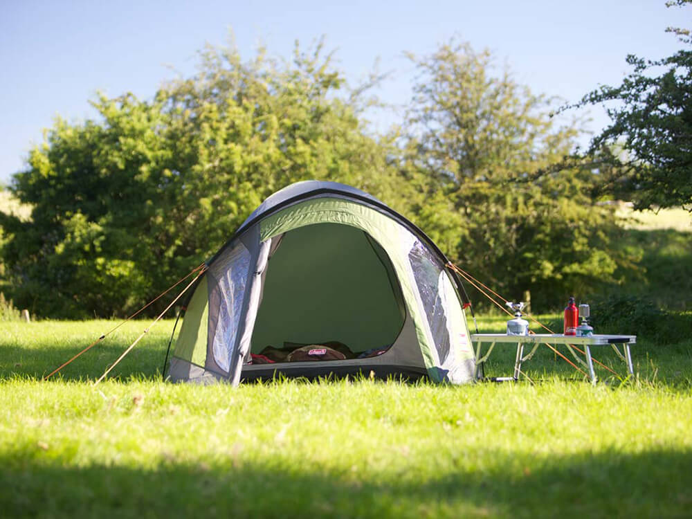 Coleman Darwin 4+ Plus Zelt - Kuppelzelt für 4 Personen - Coleman