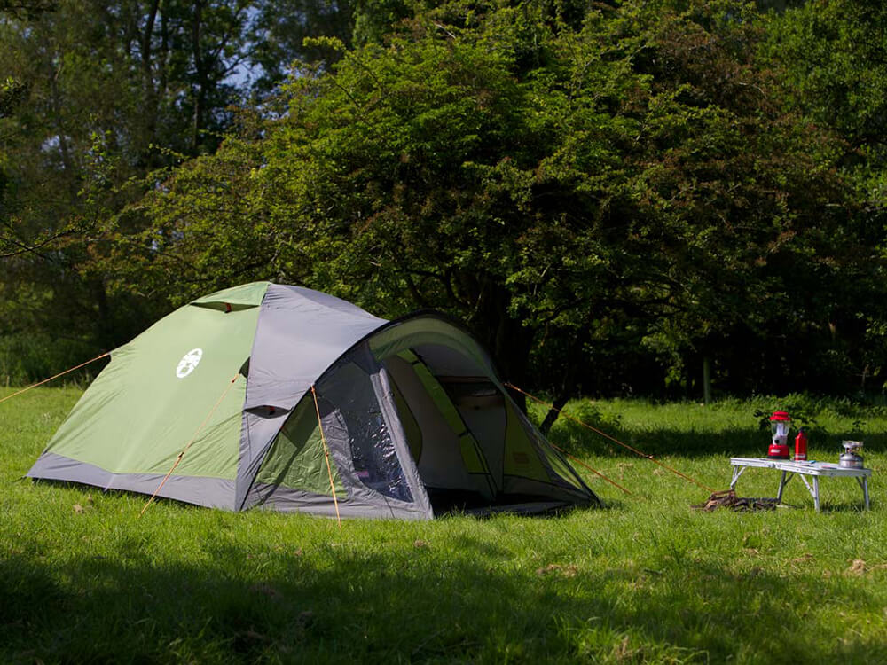Coleman Darwin 4+ Plus Zelt - Kuppelzelt für 4 Personen - Coleman