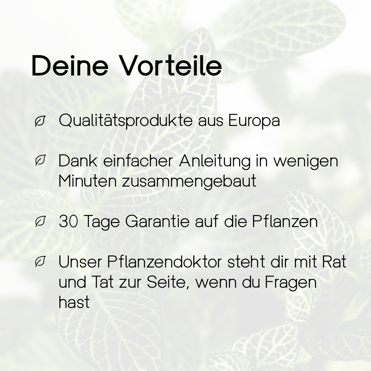Flaschengarten Ökosystem: Pflanzen im Glas "Erlenmeyer" ↑35cm / ⌀30cm - Growing Concepts