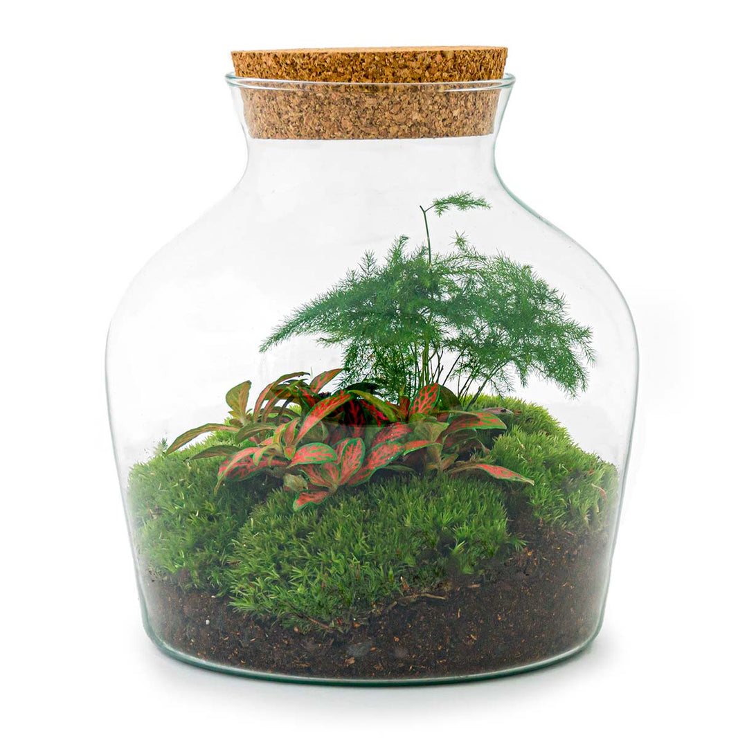 Kleiner Flaschengarten im Glas