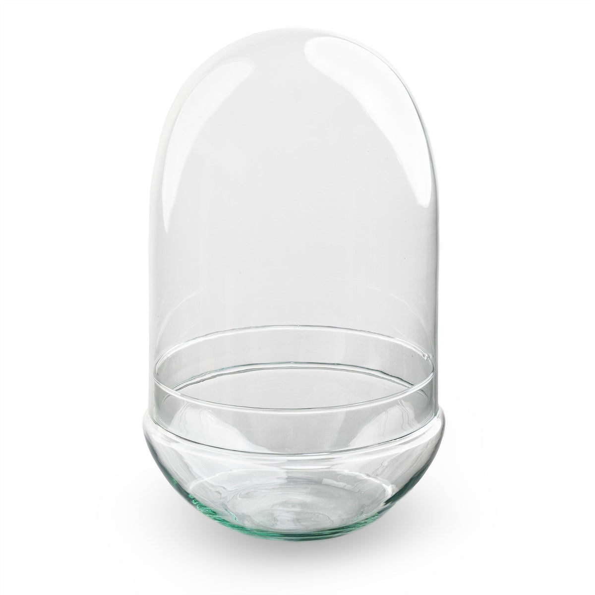 Leeres Flaschengarten-Glas „Egg XL“ mit Glaskuppel, 30 × 17,5 cm – Freisteller