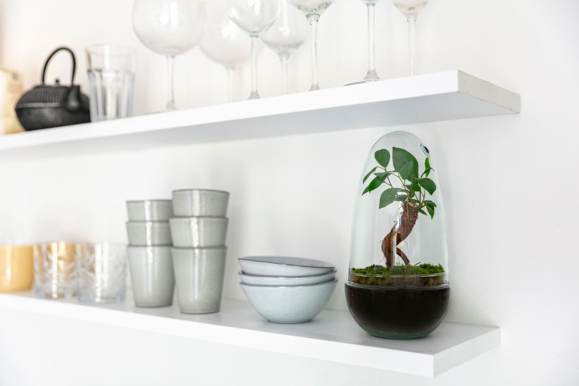 Nachhaltige Produkte und hohe Qualität der Pflanzen und Glas aus Europa