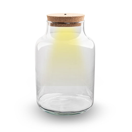 Leeres Flaschengarten-Glas „Milky“ mit Korken, 30 × 21 cm – Stimmungsbild, Ansicht 2