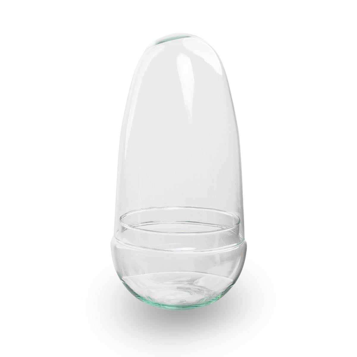 Leeres Flaschengarten-Glas „Egg“ mit Glaskuppel, 25 × 12 cm – Freisteller