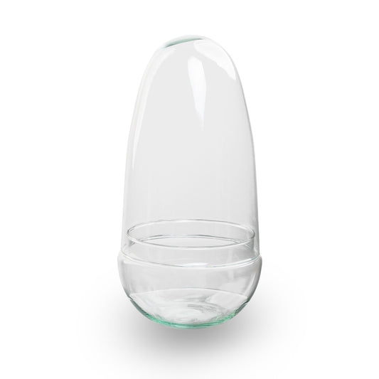 Leeres Flaschengarten-Glas „Egg“ mit Glaskuppel, 25 × 12 cm – Freisteller