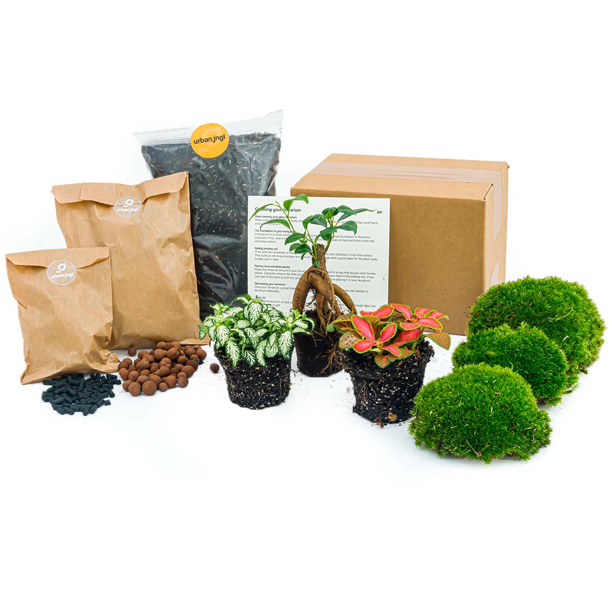 Flaschengarten-Pflanzenset „Bonsai“ – Ficus Ginseng + 2 Pflanzen, Moos & Erde (Ø 20–30 cm) - Urban Jungle