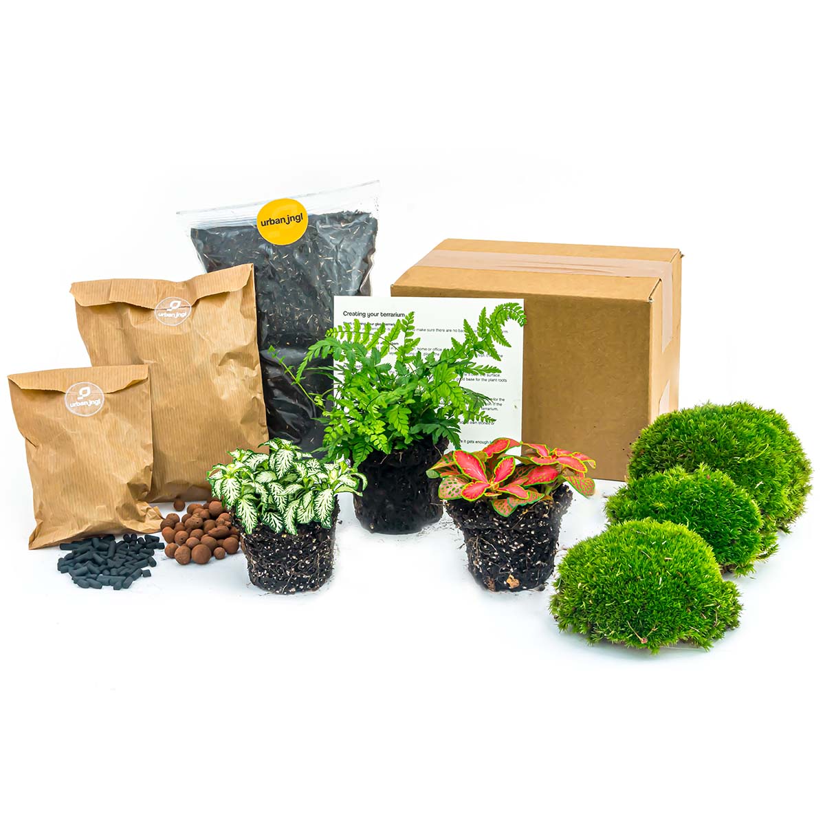 Flaschengarten-Pflanzenset „Farn“ – 3 Pflanzen, Moos & Erde (Ø 20–30 cm) - Urban Jungle