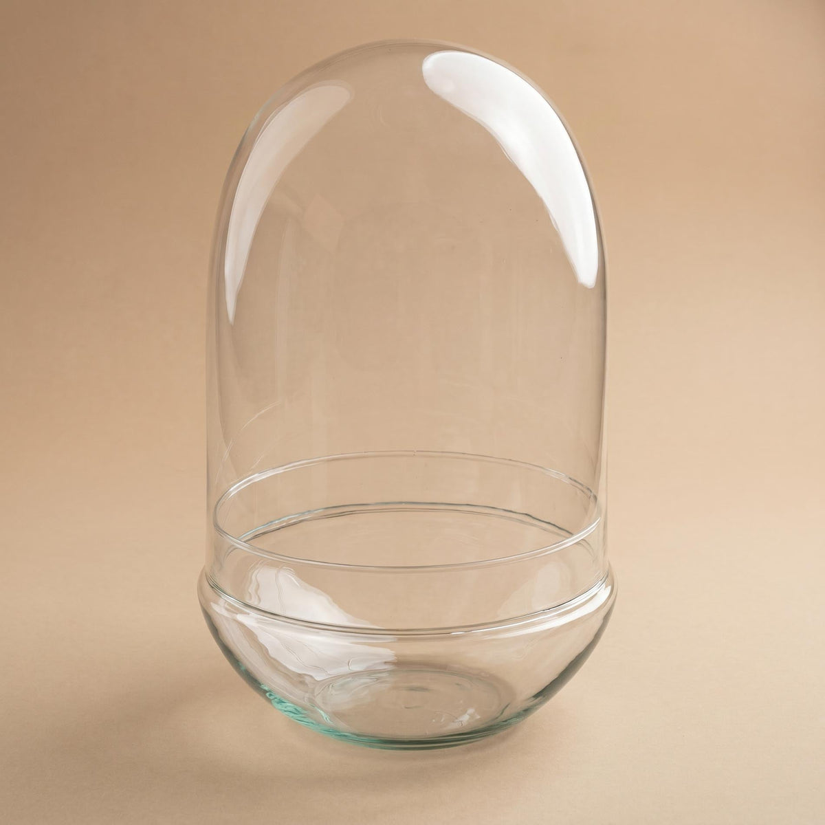 Leeres Flaschengarten-Glas „Egg XL“ mit Glaskuppel, 30 × 17,5 cm – bepflanztes Beispiel