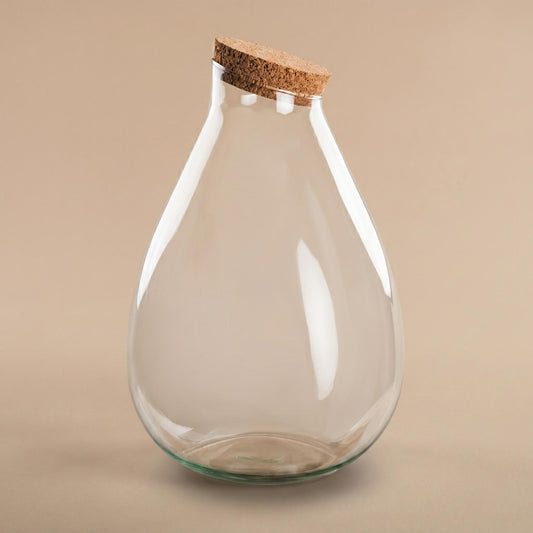 Leeres Flaschengarten-Glas „Drop XL“ mit Naturkorken, 37 × 29 cm – bepflanztes Beispiel