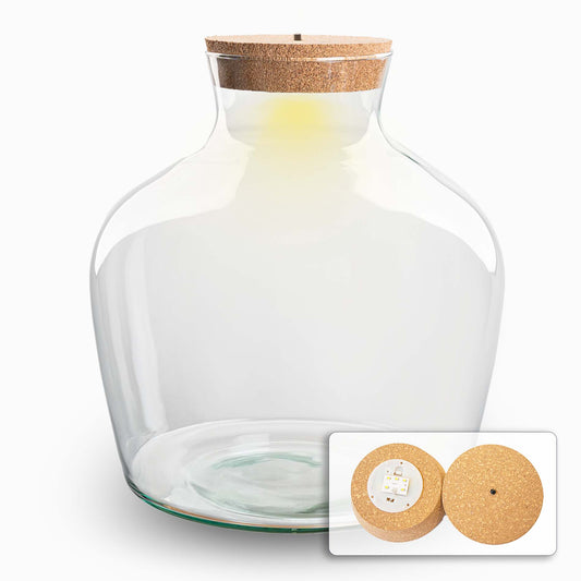 Leeres Flaschengarten-Glas „Fat Joe“ mit LED-Korken, 30 × 29 cm – mit eingeschaltetem LED-Korken