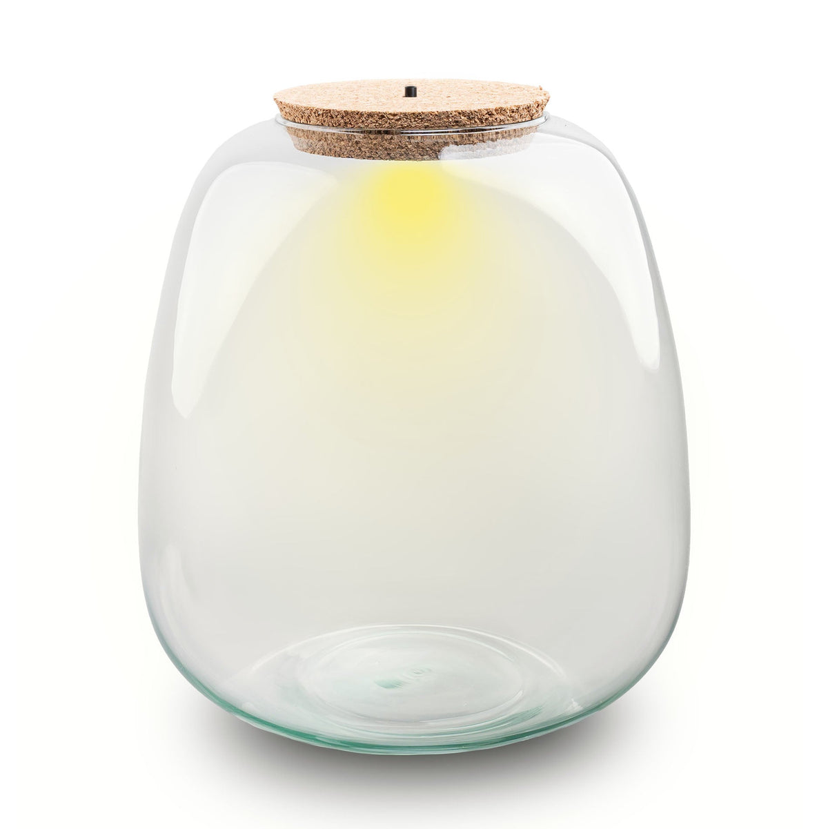 Flaschengarten-Glas „Emma“ mit LED-Korken – leer (25 cm) - Urban Jungle