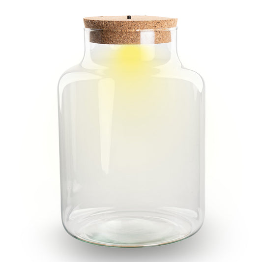 Leeres Flaschengarten-Glas „Little Milky“ mit LED-Korken, 25 × 17 cm – Produktansicht