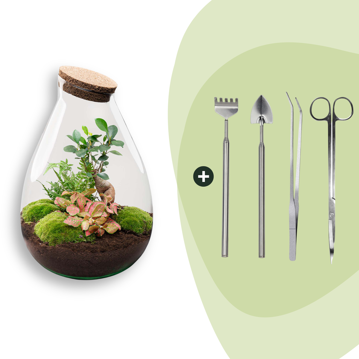Flaschengarten Set „Drop XL“ – DIY Terrarium mit Pflanzen und Werkzeug, 37 cm - Everspring