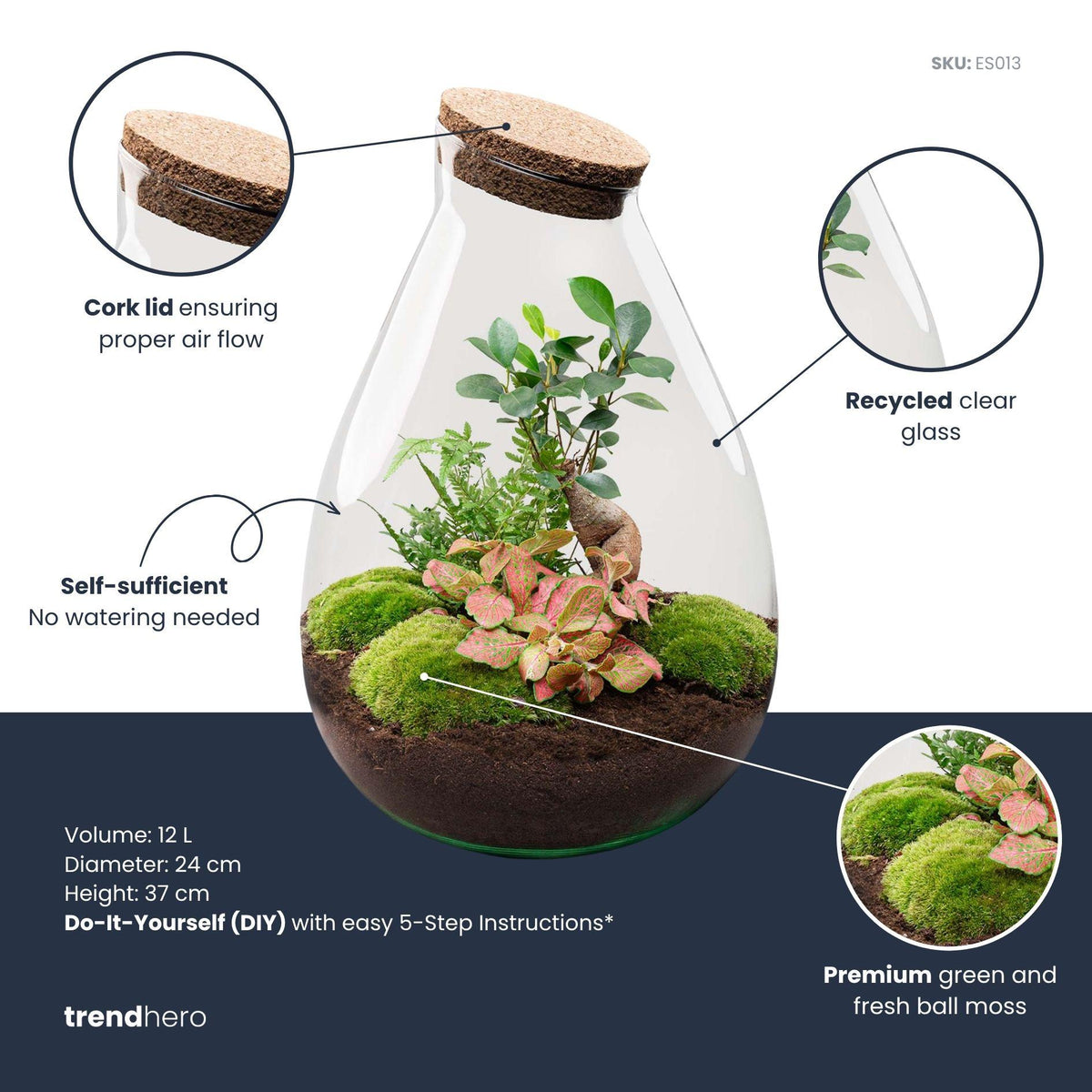 Flaschengarten Set „Drop XL“ – DIY Terrarium mit Pflanzen und Werkzeug, 37 cm - Everspring